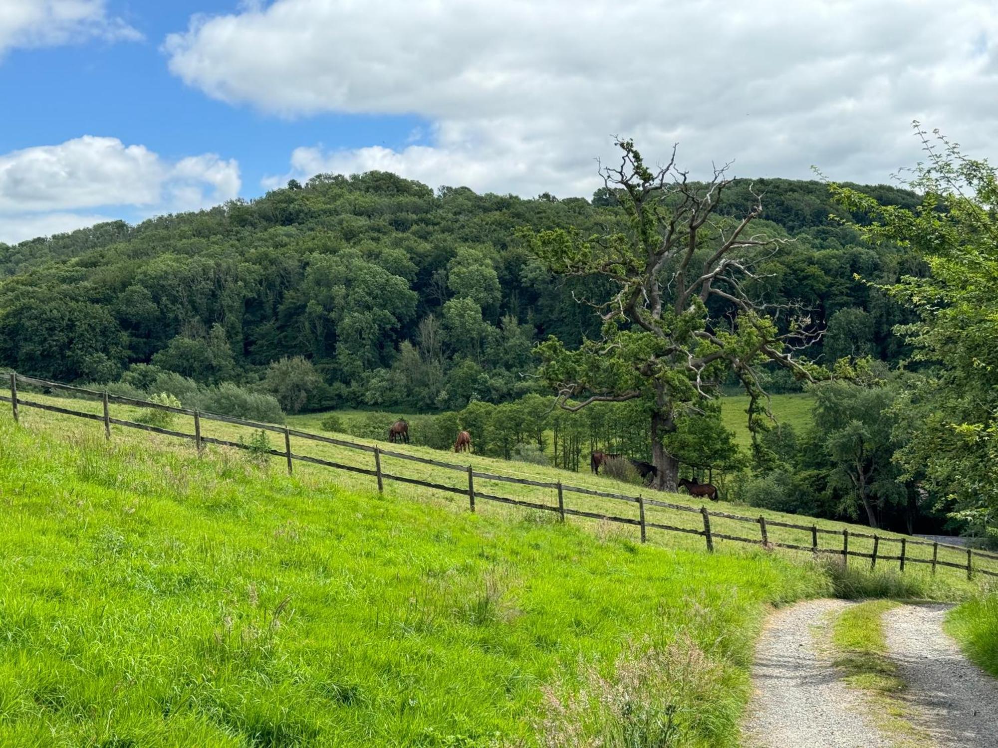 The Spring Slad Valley Cotswolds Пенсуик Екстериор снимка
